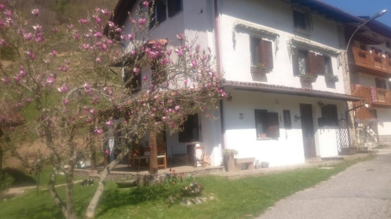 B&B In Fattoria Frisanco Exteriör bild