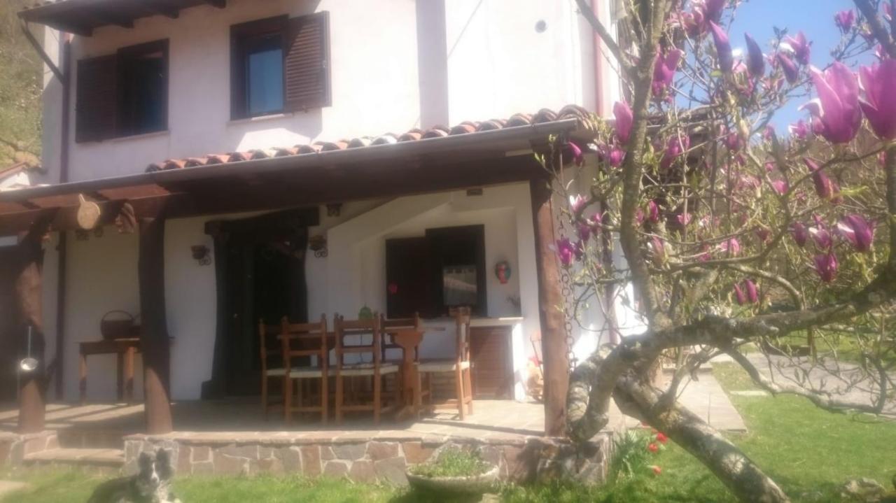 B&B In Fattoria Frisanco Exteriör bild